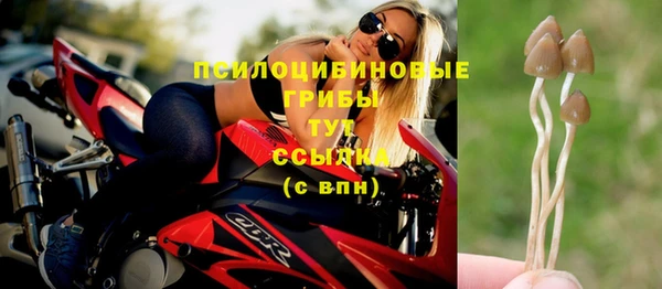 не бодяженный Богородск